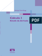 Calculo 1 - Rodrigo Orsini Braga PDF