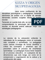 Introduccion A La Psicopedagogia