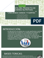 Propuesta Del Proyecto de Loncheras Nutritivas (3)
