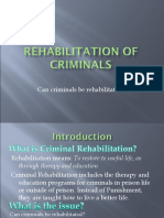 Can Criminals Be Rehabilitated Through Programs