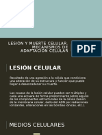 Lesión y Muerte Celular - Unidad I