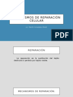 Mecanismos de Reparación Celular - Unidad III