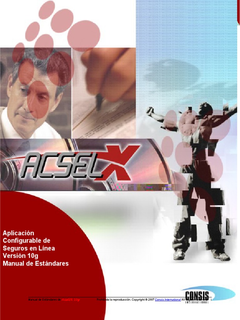 Manual Estandares 10g-Acsel X | PDF | Ventana (informática) | SQL