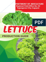 Lettuce Guide Region 02