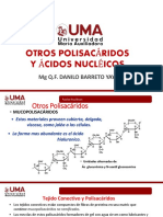 Polisacáridos - ácidos nucléicos