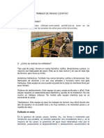 TRABAJO DE RIESGO LOCATIVO Geral PDF