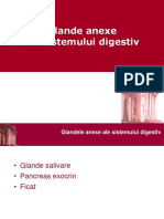 LP_07_Anexe_Digestiv.pdf