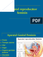 LP - 11 - Genital Fem PDF