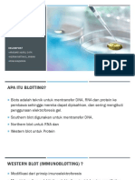 Imunoserologi Kel.7 2B PDF