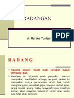 3 Peradangan