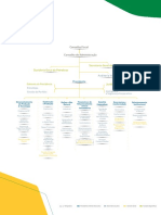 Organograma PT PDF