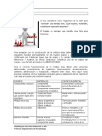 Tarea2-Estructura Medula Osea