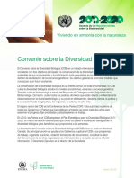 CDB ONU MEDIO AMBIENTE.pdf