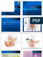 Fisiopatolog a Pancreatitis 3 10