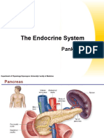 7.Endokrin_all2016_pankreas