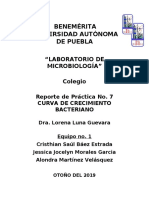 Crecimiento bacteriano: Curva de crecimiento de bacterias