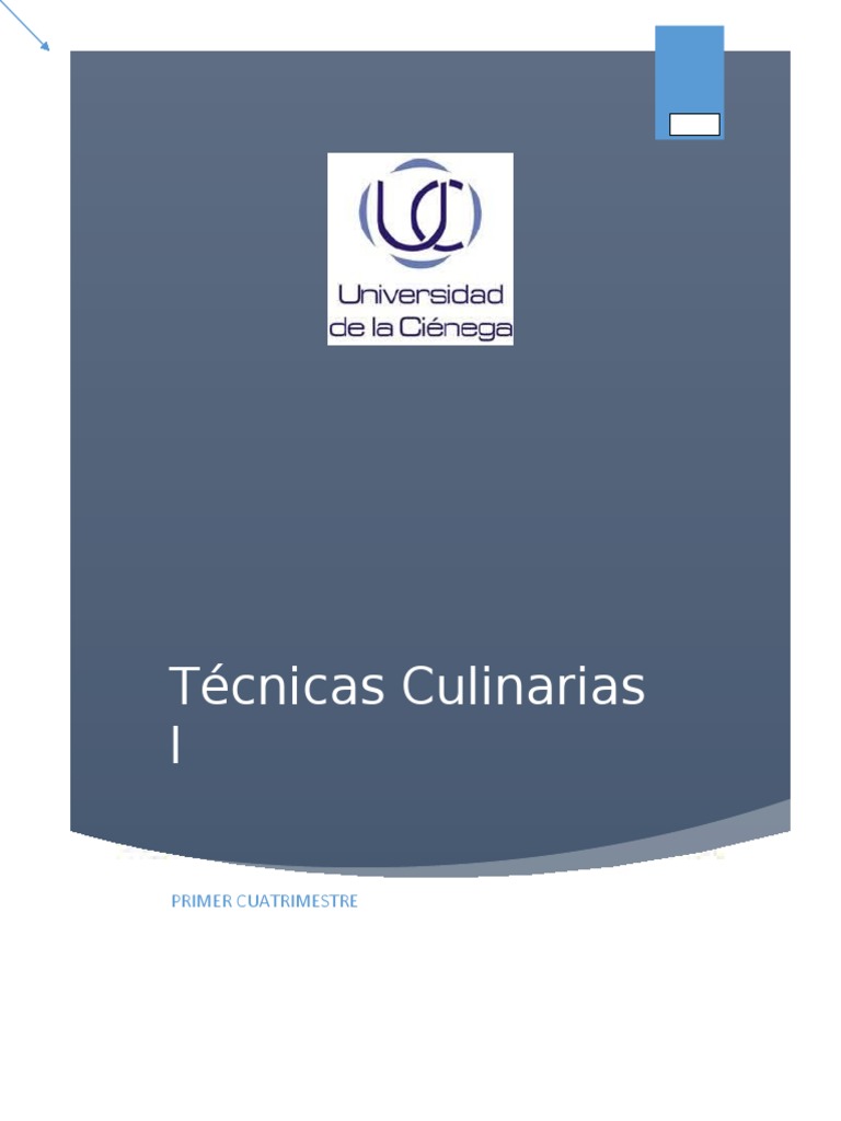 01 Manual Tecnicas Culinarias 1 PDF Cocina Salsa