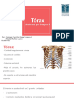 Tórax