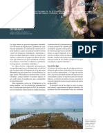 Biodiv115art2 PDF