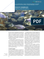 Biodiv113art3 PDF
