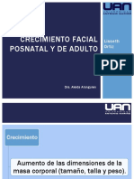 Crecimiento Facial Posnatal y de Adulto