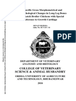 College of Veterinary Science Animal Husbandry