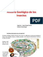 Historia geológica de los insectos en