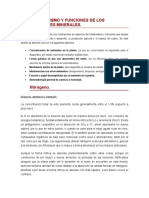 Metabolismo y Funciones de Los Nutrientes Minerales