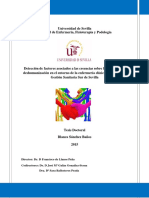 Tesis BSB Con Fe de Erratas PDF