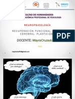 Sesion 2 Daño Cerebral PDF