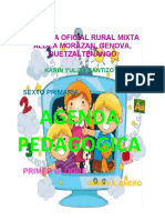 agenda pedagogica sexto.docx