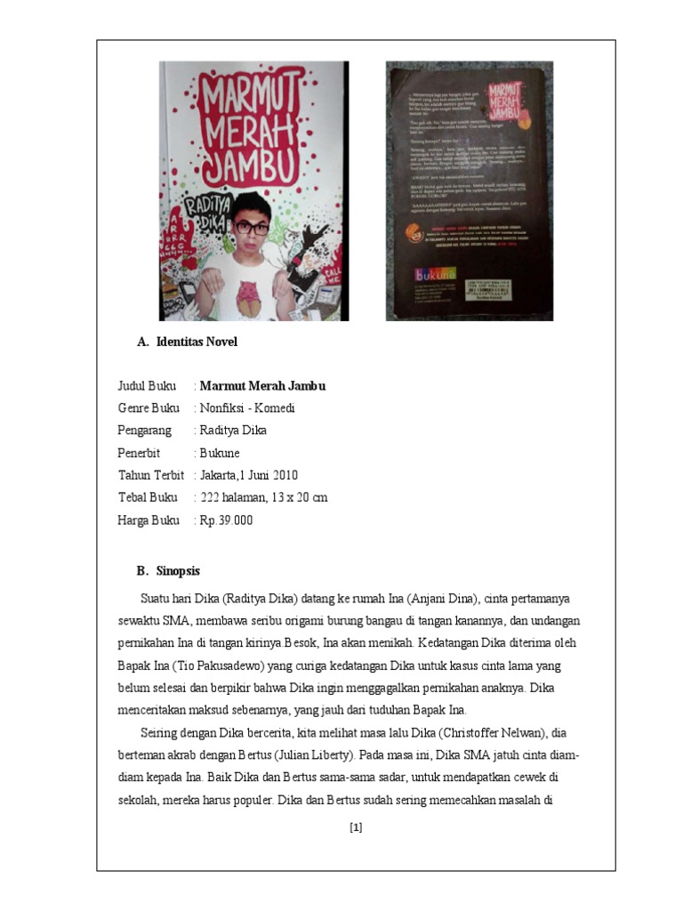 Resensi Novel Marmut Merah Jambu