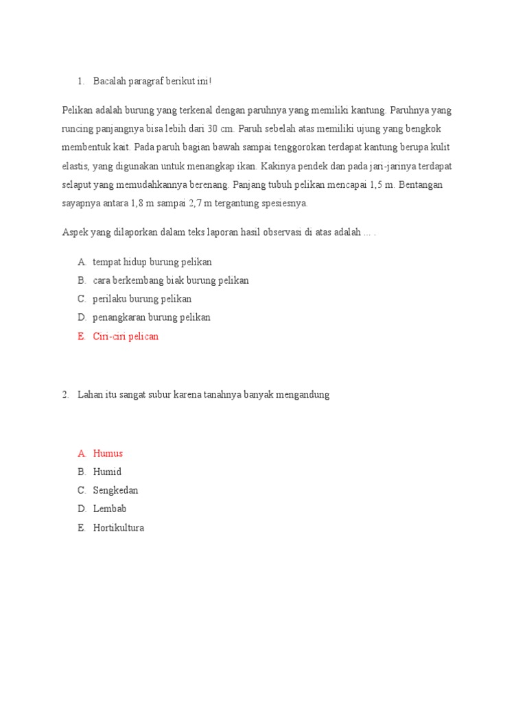 Zulkifli Pdf