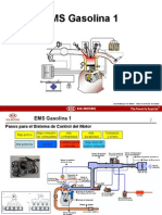 EMS Gasoline 1