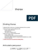 Thorax Dinding