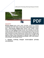 10 Fakta Unik Dan Menarik Tentang Burung Bangau Untuk Anda Ketahui PDF