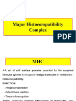 MHC: The Major Histocompatibility Complex and Its Role in Antigen Presentation /TITLE