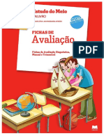 _Fichas de Avaliação Estudo do Meio Gailivro (3) (1).pdf