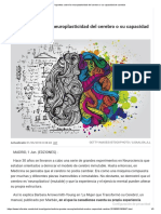 9 Apuntes Sobre La Neuroplasticidad Del Cerebro o Su Capacidad de Cambiar