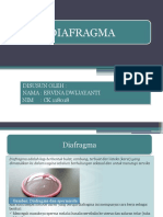 Diafragma