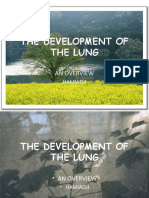 Prof. Hamiadji - The Development of Lung