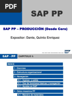 Manual SAP PP: Guía de Usuario | PDF