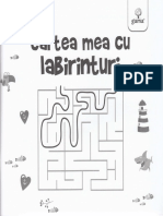 Cartea Mea Cu Labirinturi PDF