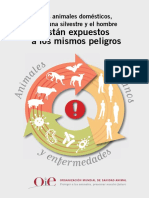 Oie Animales Silvestres PDF