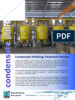 Condensate Polishing Treatment