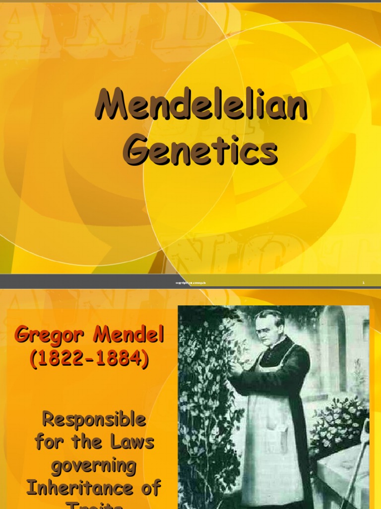 Mendelian Genetics Overview and Concepts | PDF | Dominance (Genetics ...