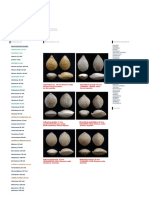 BRACHIOPODS FOSSIL - Mioceno Medio 16 Mill