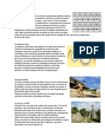 5 ciencia maya.docx