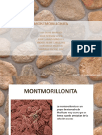 Exposición Montmorillonita.pptx