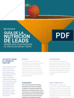 Nutrición de Leads PDF